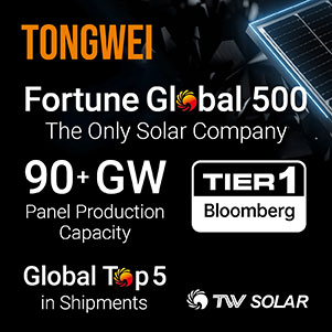 Tongwei Solar Panels | Alternergy
