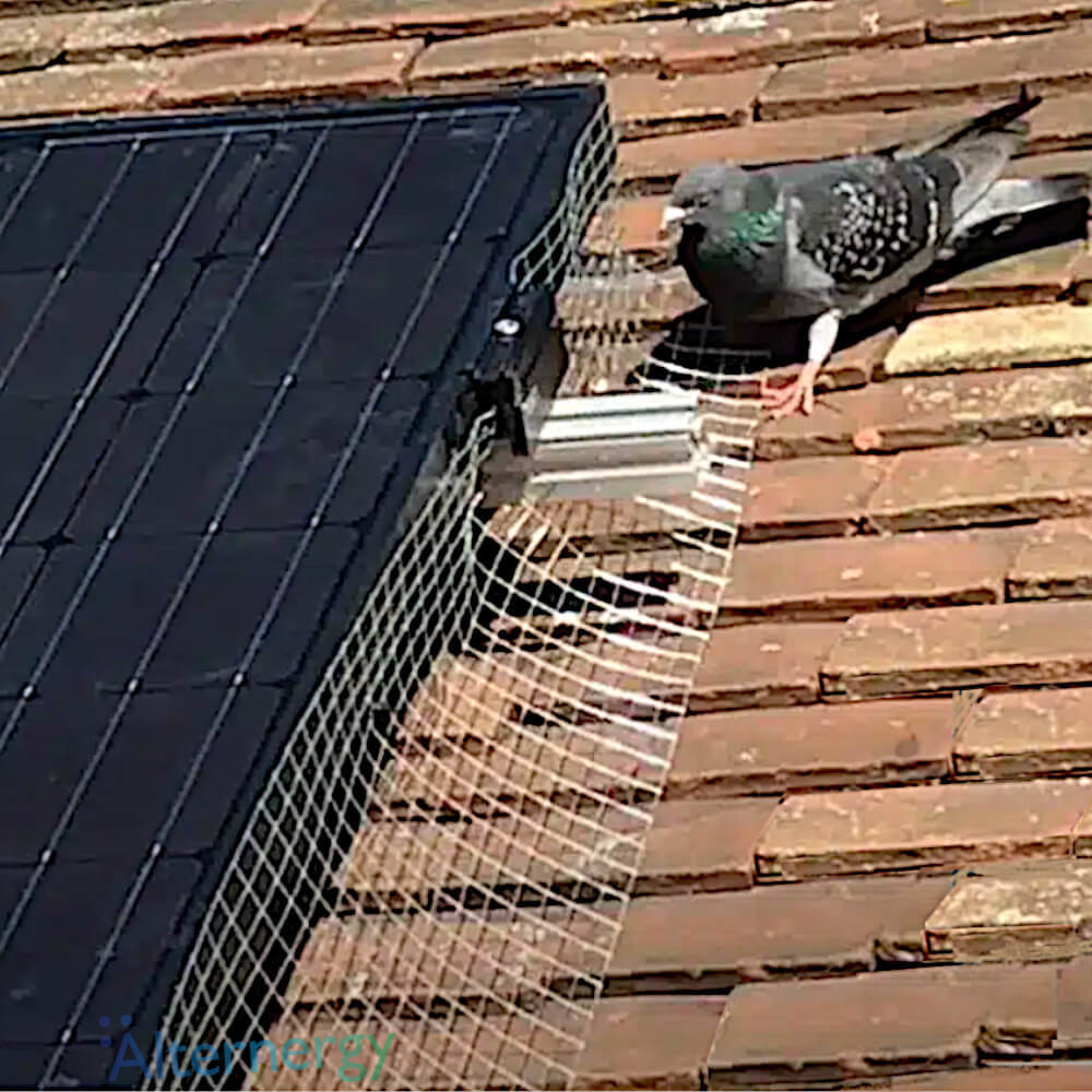 EnviroGuard Galvanized Solar Bird Mesh Roll 30M - Image 2