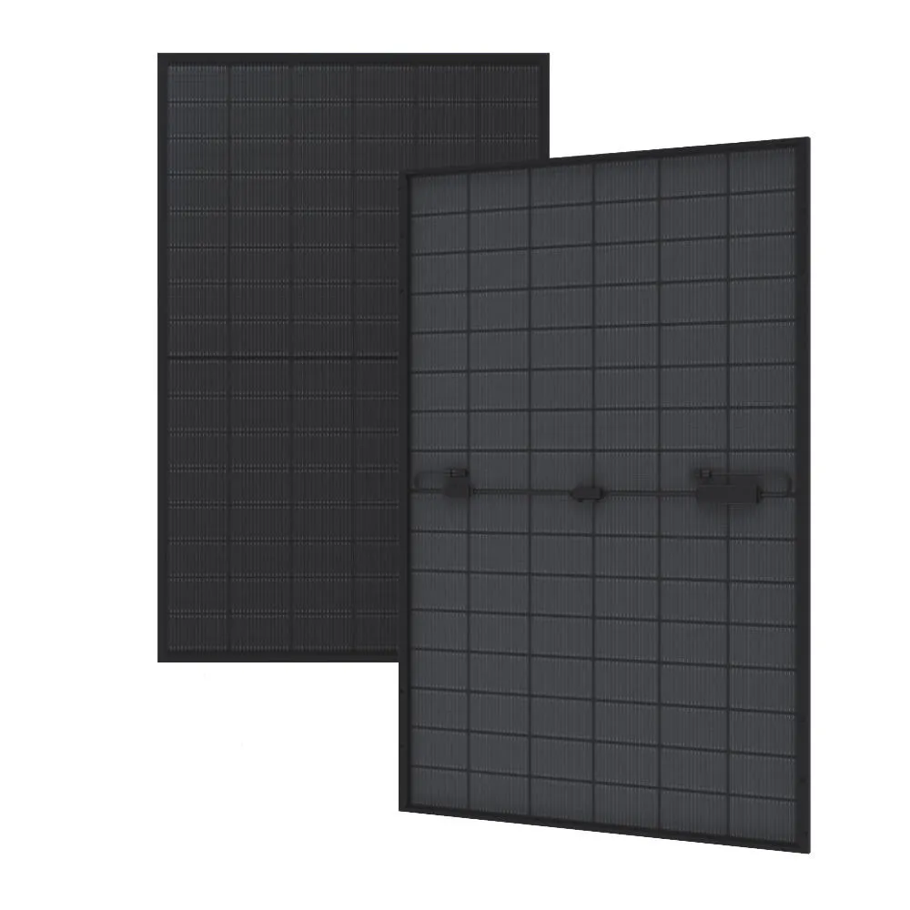 Sungrow SG-48TG4D-BX Panel2.webp