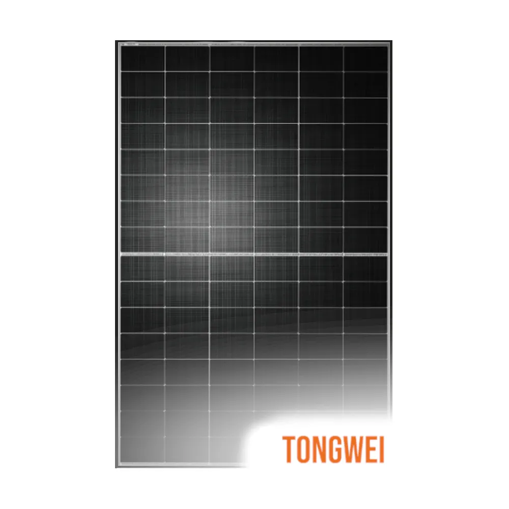 [TWMNH-48HD-455] Tongwei Solar 455W TNC 1.0 N-Type Bifacial, Dual Glass, Black Frame